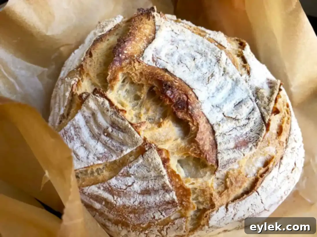 Freshly baked quick and easy no-knead artisan bread