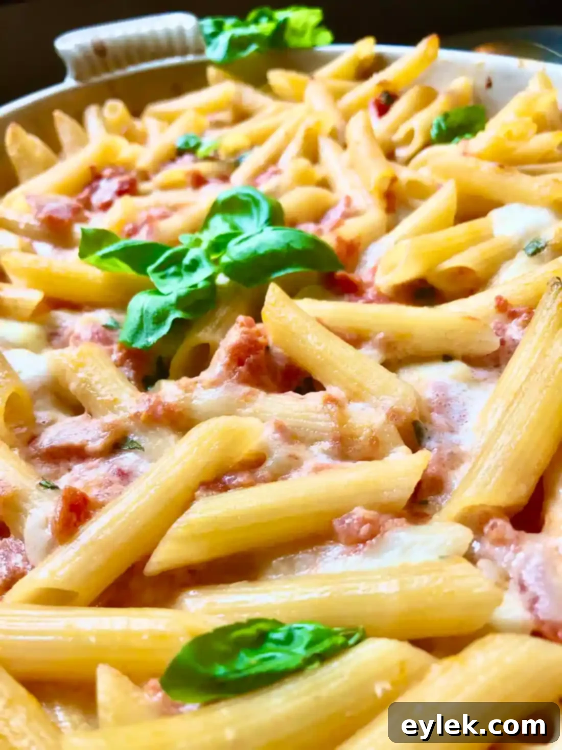 Penne with Tomato, Cream & Five Cheeses, presented beautifully with a garnish of fresh basil.