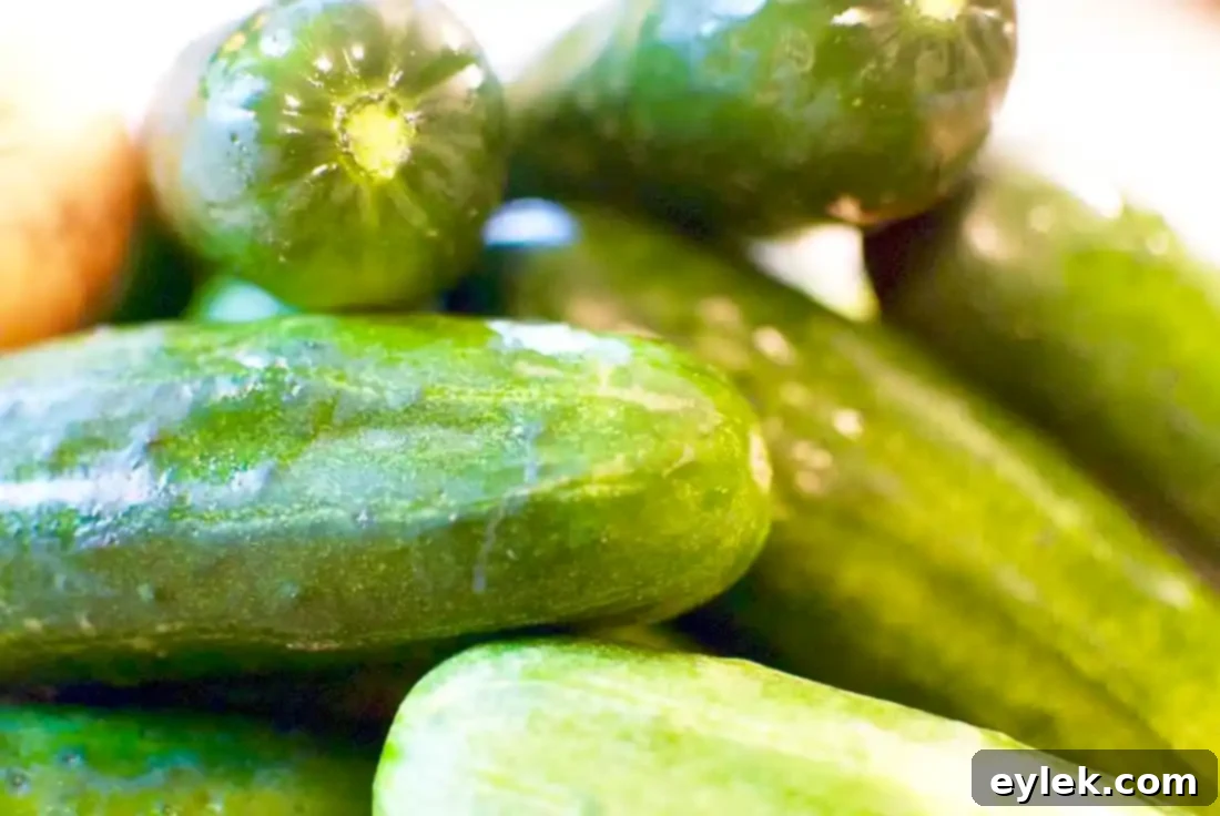 Freshly made homemade bread and butter pickles in a glass jar, showcasing their vibrant color and fresh appearance