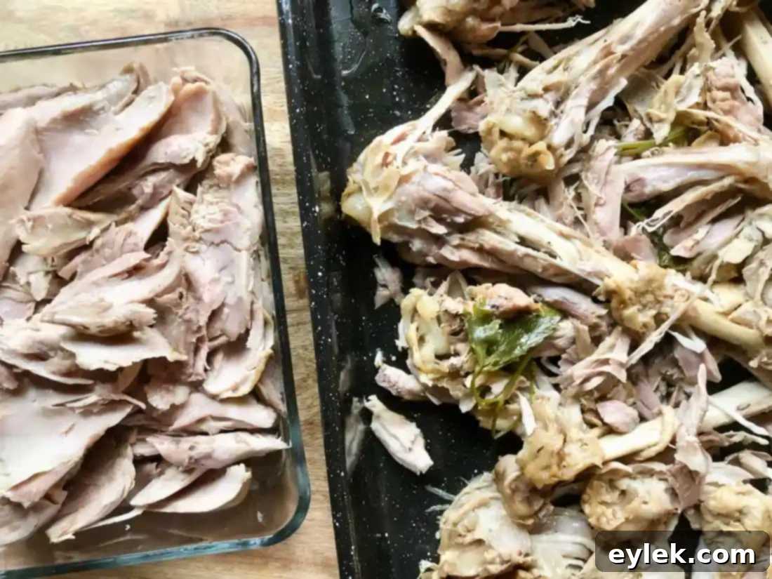 straining turkey stock