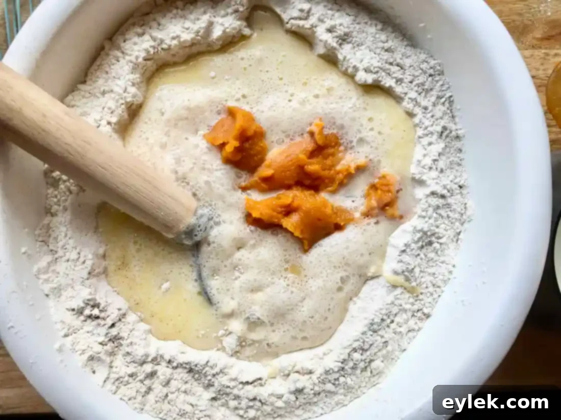 mixed dough for no-knead pumpkin rolls