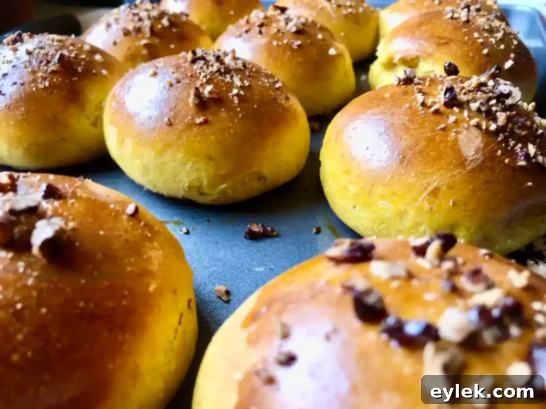 warm no-knead pumpkin rolls ready to serve