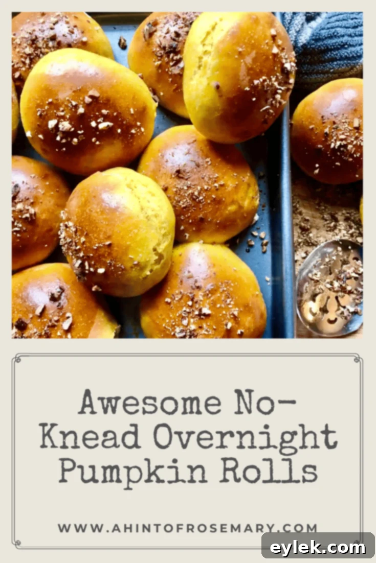 Delicious toasted with a schmear of fluffy cream cheese. Be sure to include these Awesome No-Knead Overnight Pumpkin Rolls at your next family feast. Your family will thank you. ♡ A Hint of Rosemary #thanksgiving #homemade #ahintofrosemary #holidays #brunch #sides #sunriseflourmill