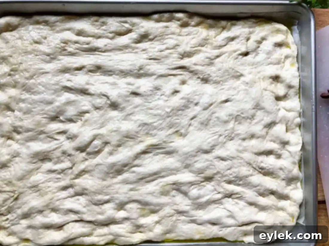 Pissaladière dough topped with anchovy puree and onions