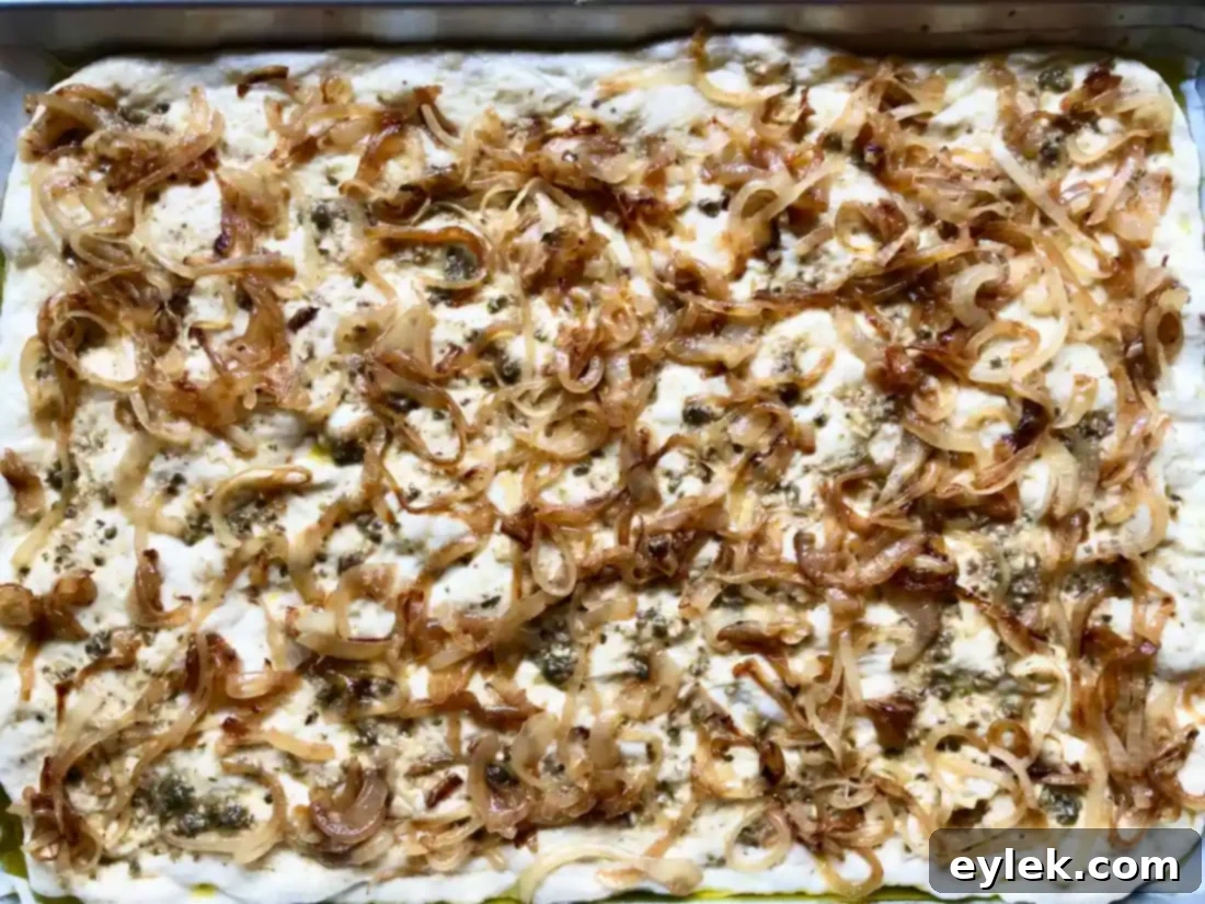 Pissaladière with onions, olives, and tomatoes before baking