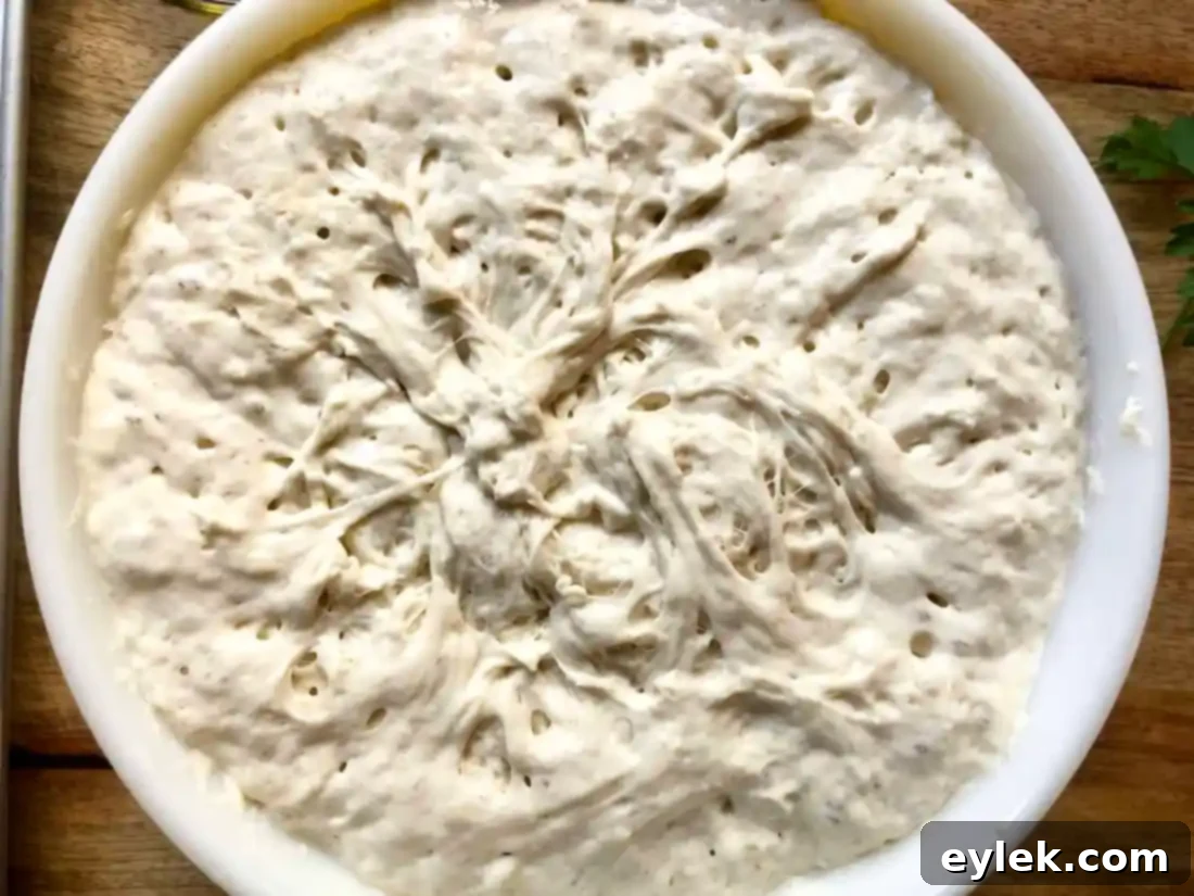 Pissaladière dough after rising, doubled in bulk
