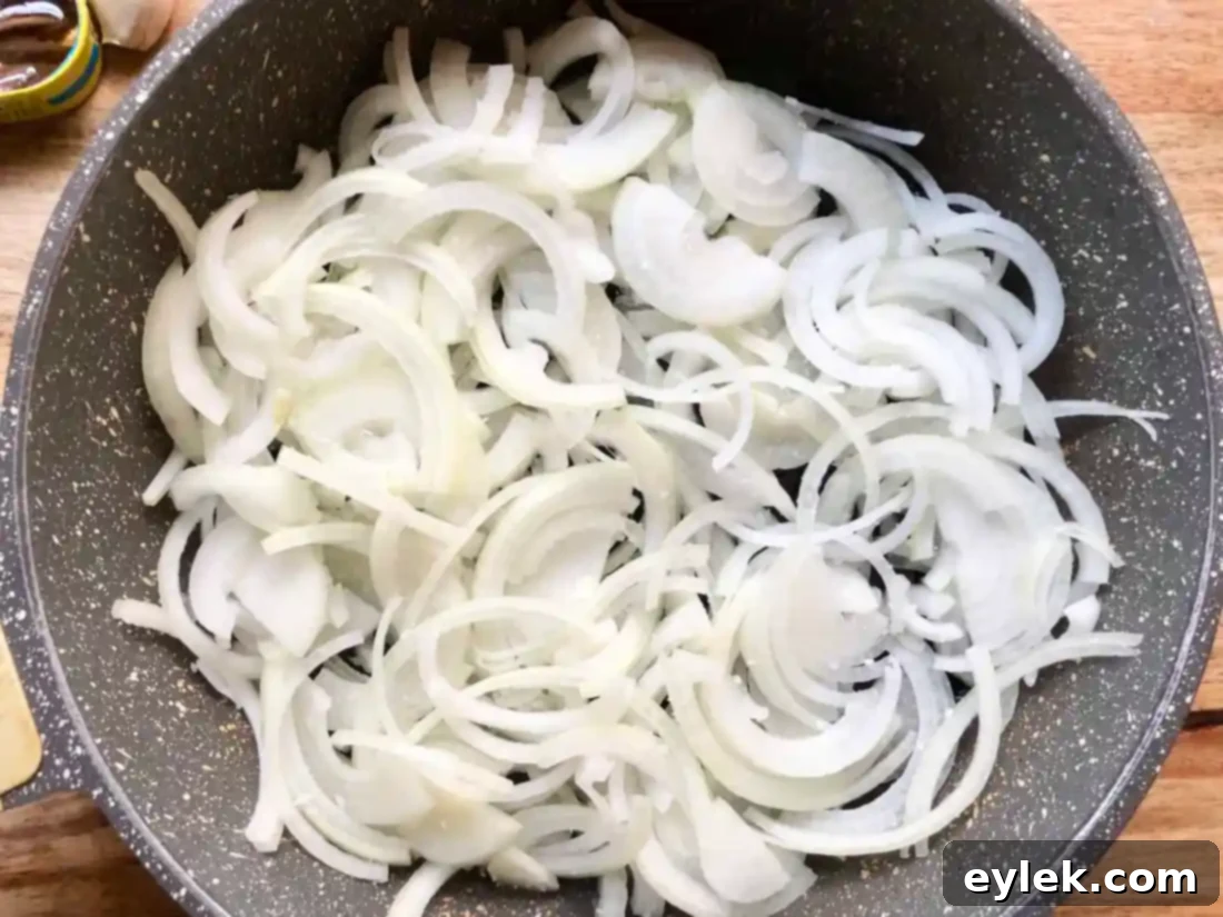 Caramelized onions for Pissaladière