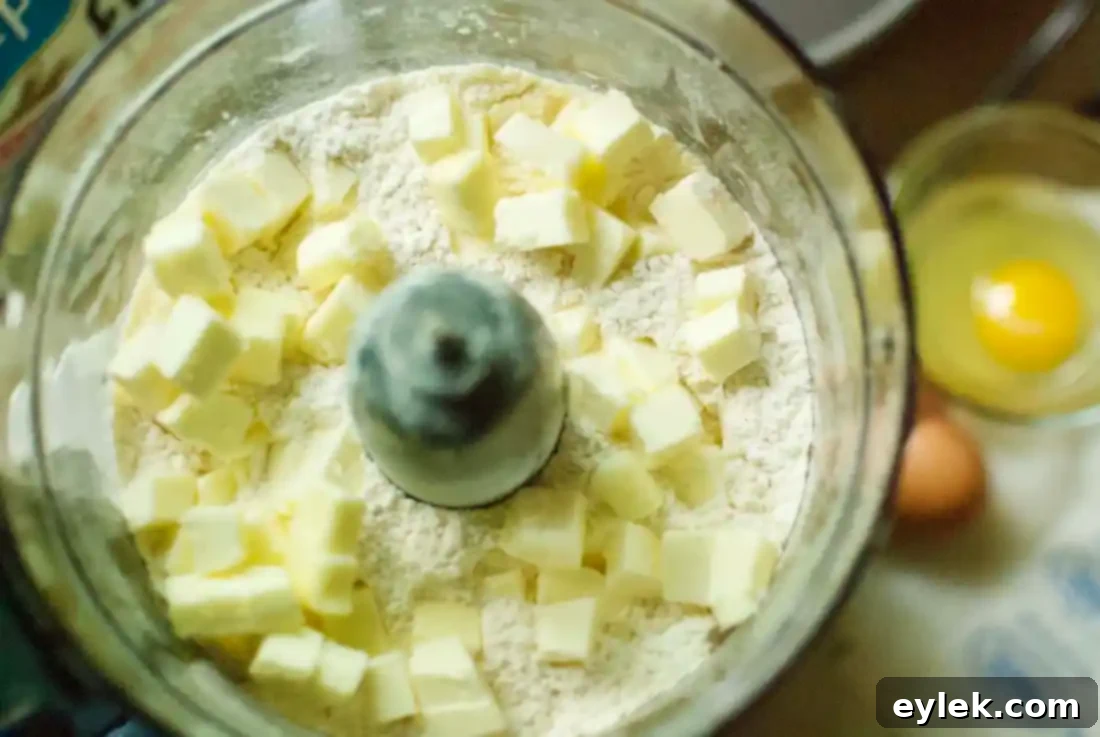 Flour and butter mixture in a food processor, showing coarse crumb texture before adding liquid.
