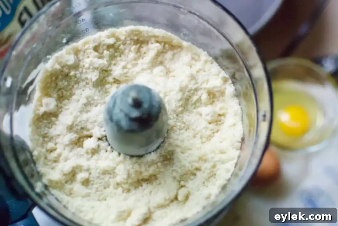 Wet ingredients (egg and water) added to the pastry dough in the food processor, mixing.