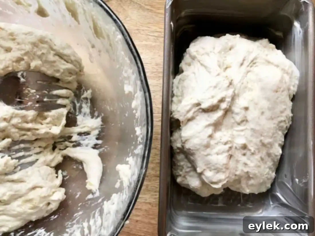 Dough in loaf pans, ready for second rise
