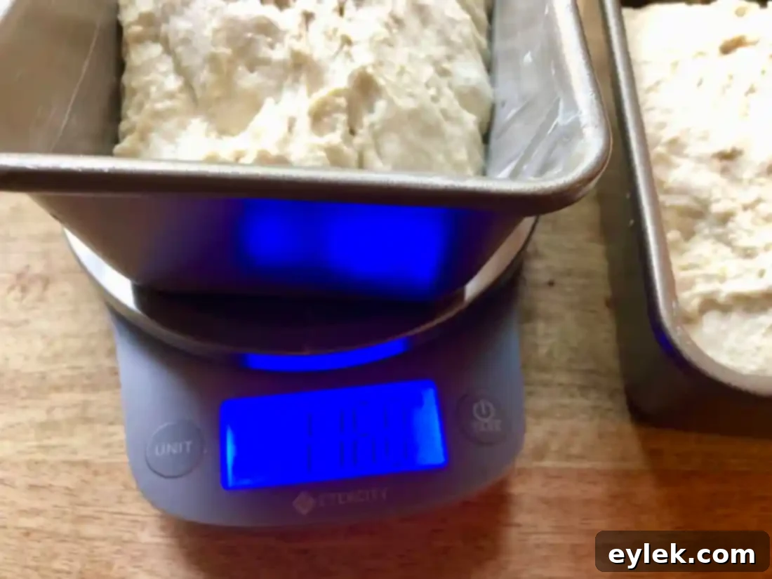 Two loaf pans with dough, ready to rise again