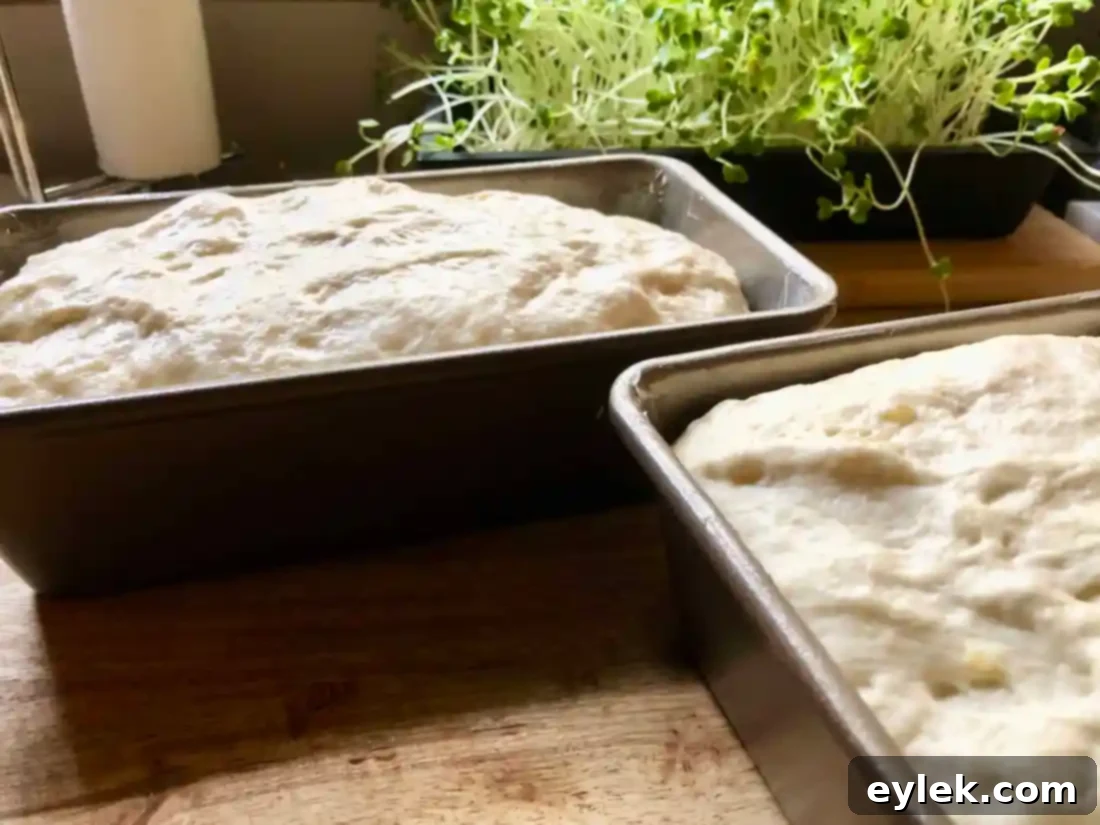 Two golden-brown loaves of Super Easy Soft Sandwich Bread in oven