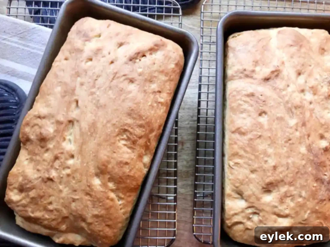 Super Easy Soft Sandwich Bread, fresh out of the oven