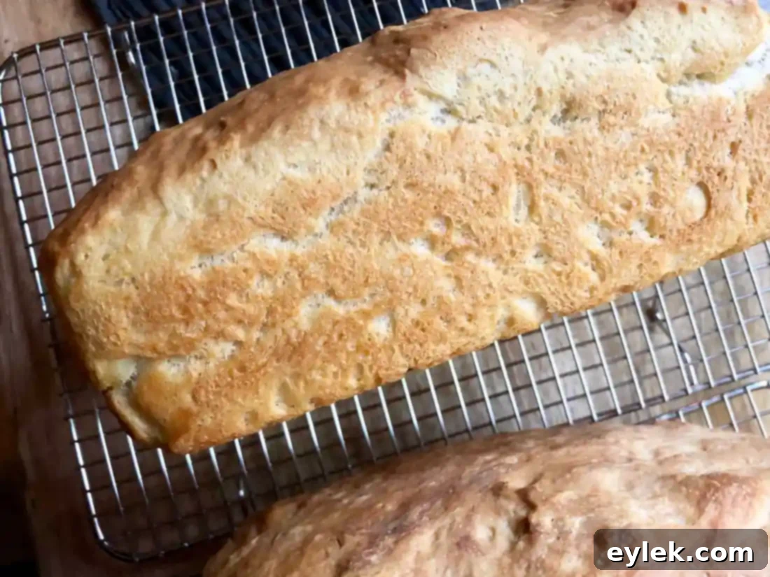 Two loaves of Super Easy Soft Sandwich Bread cooling on a rack