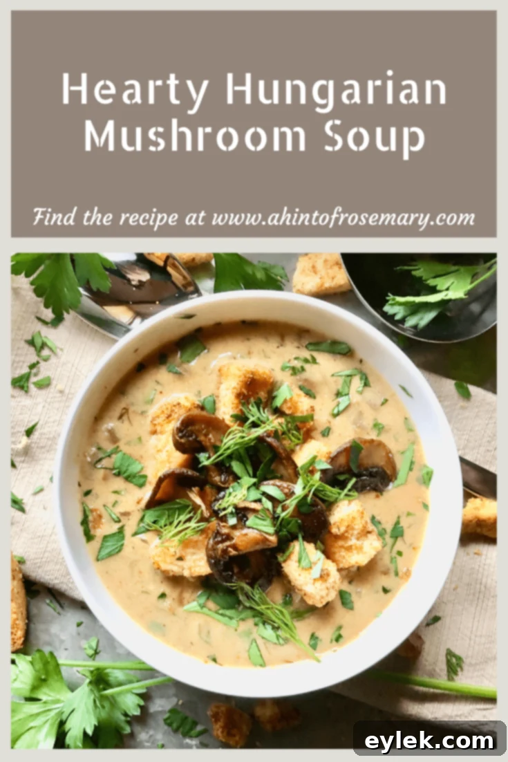 Hearty Hungarian Mushroom Soup