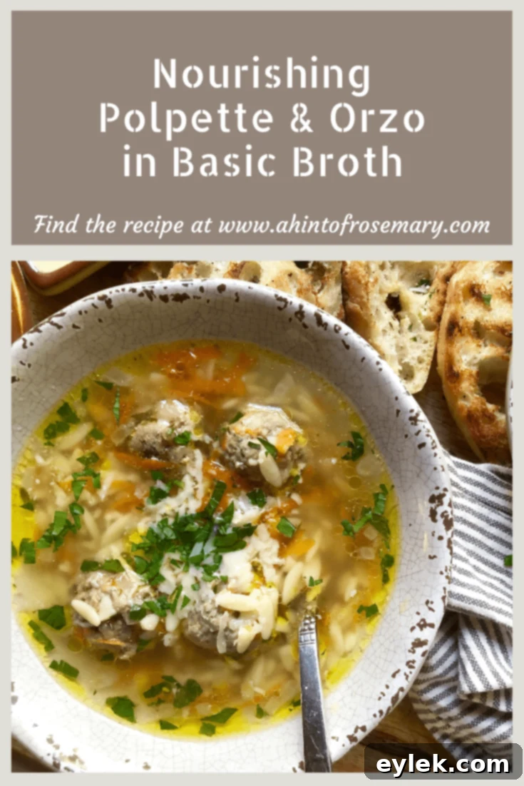 Nourishing Polpette & Orzo in Basic Broth