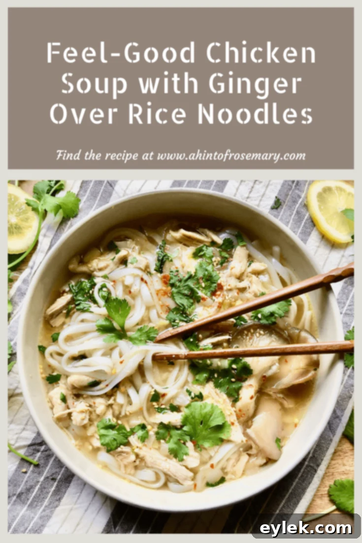 Feel-Good Chicken Soup with Ginger Over Rice Noodles