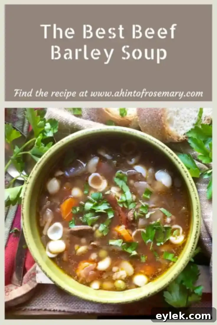 The Best Beef Barley Soup