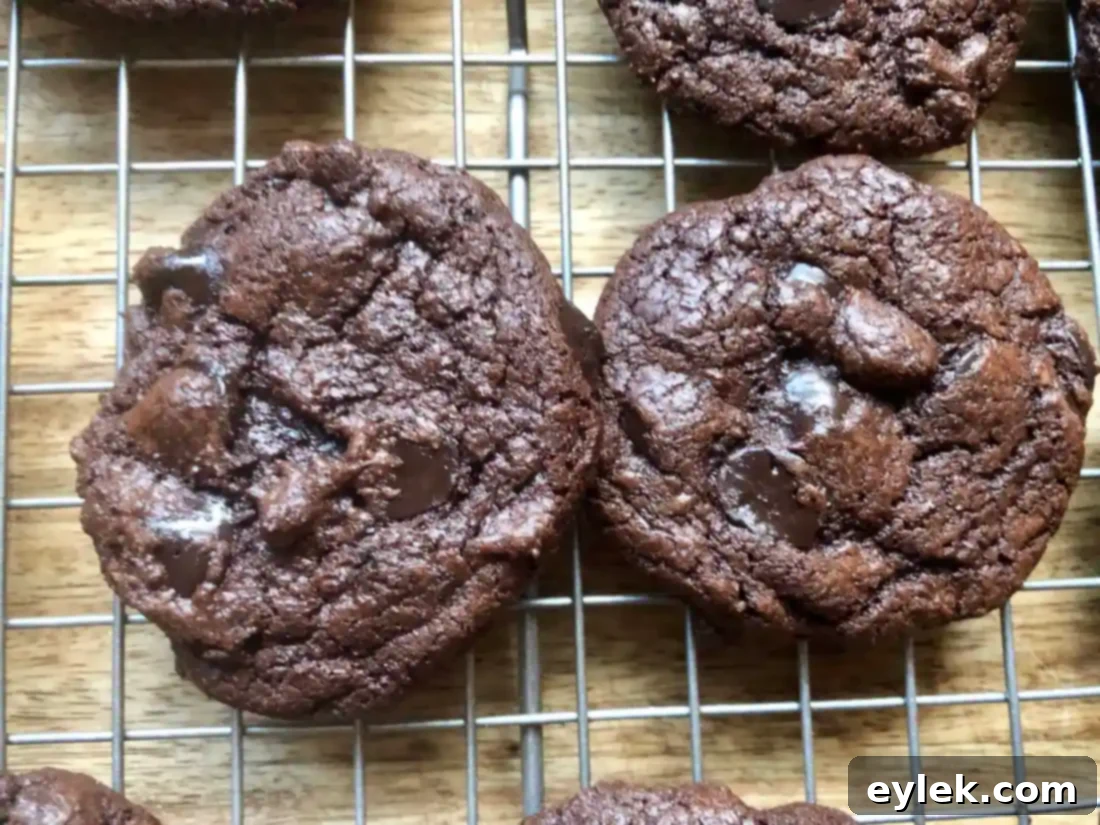 Close up of espresso chip cookies