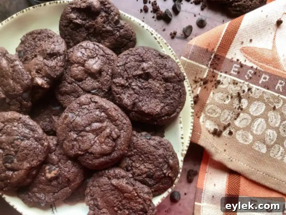 Close up of a Coffee-Lovers Espresso Chip Cookie