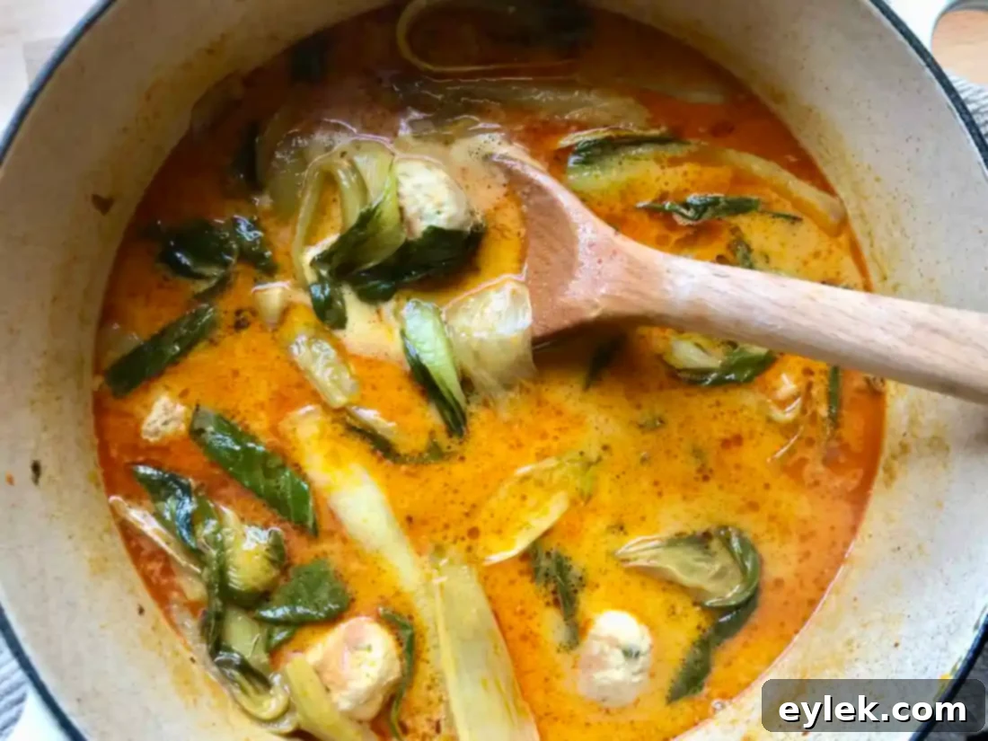 thai coconut curry noodle soup with chicken meatballs