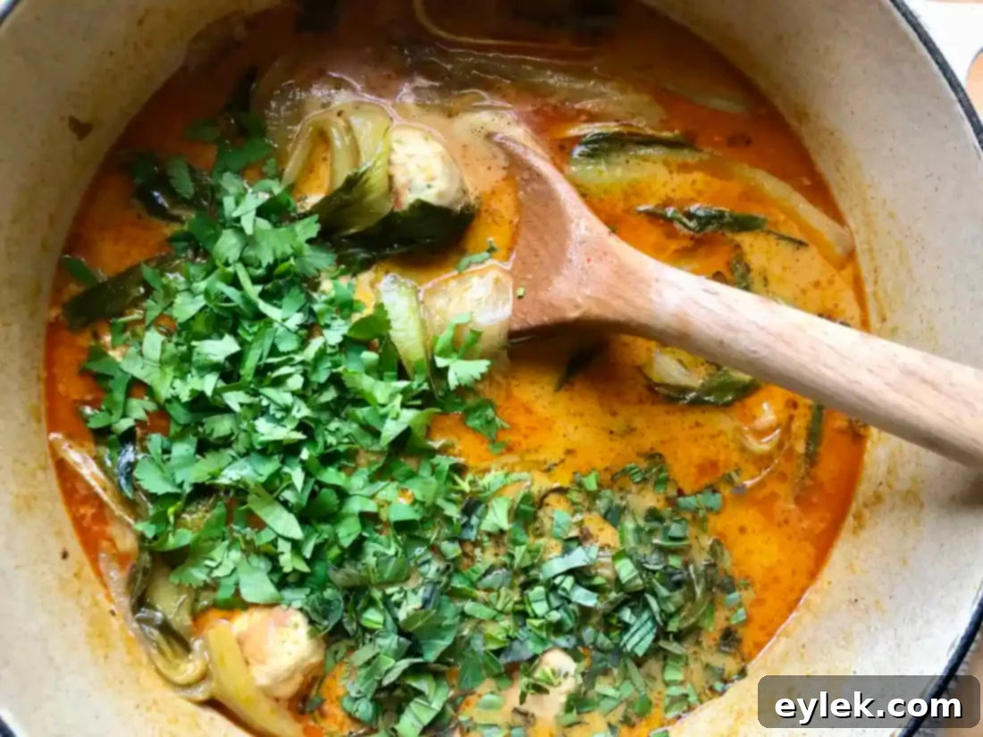 thai coconut curry noodle soup with chicken meatballs