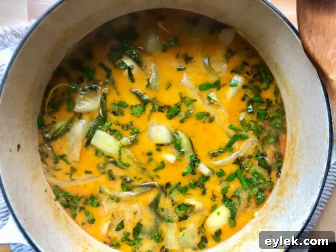 thai coconut curry noodle soup with chicken meatballs