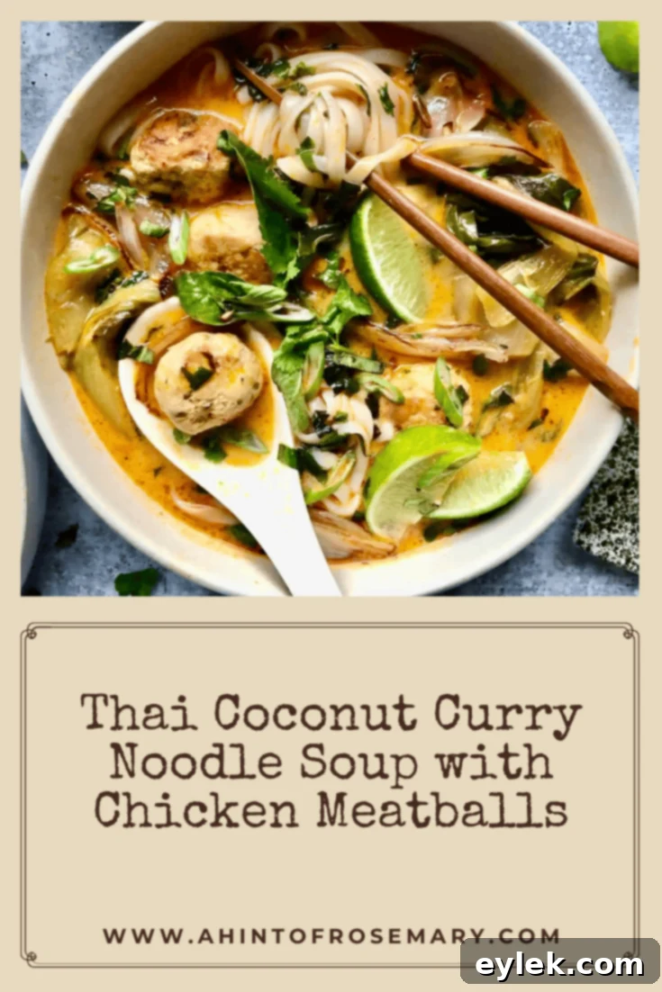 Thai Coconut Curry Noodle Soup with Chicken Meatballs