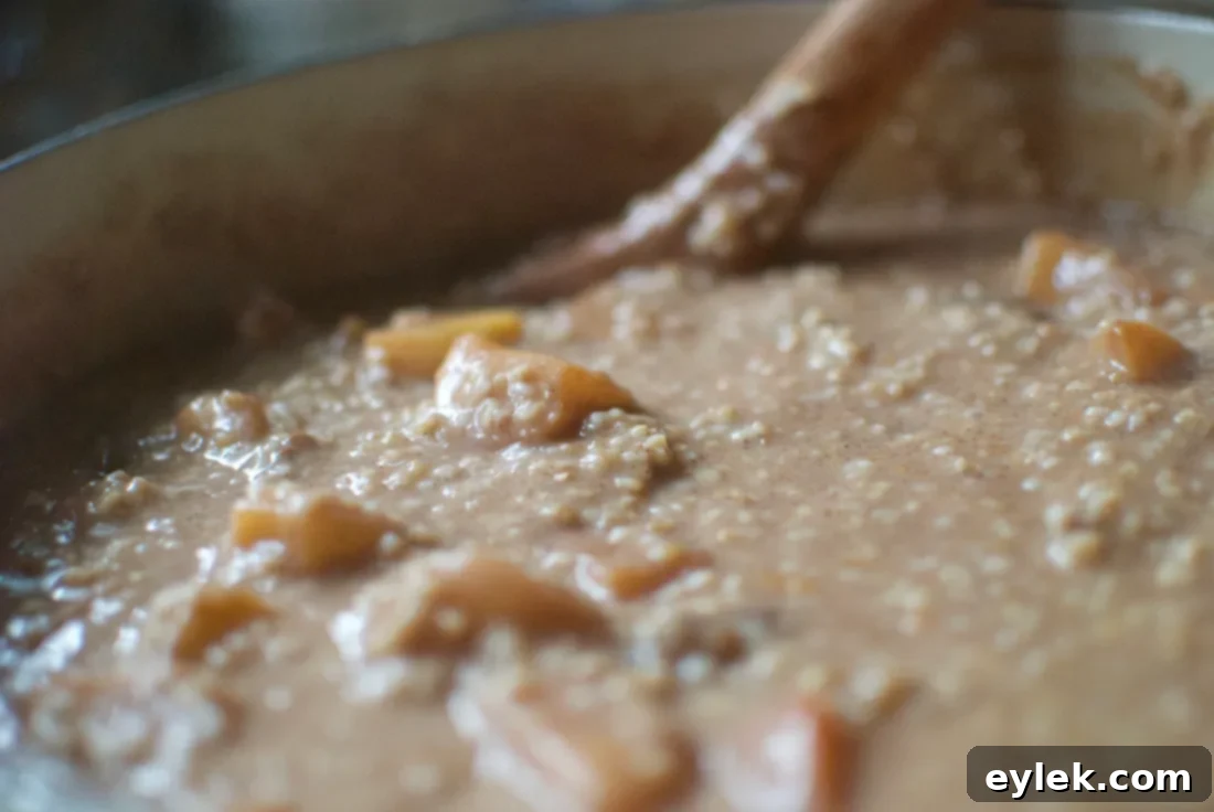 Mixing fruit and oatmeal