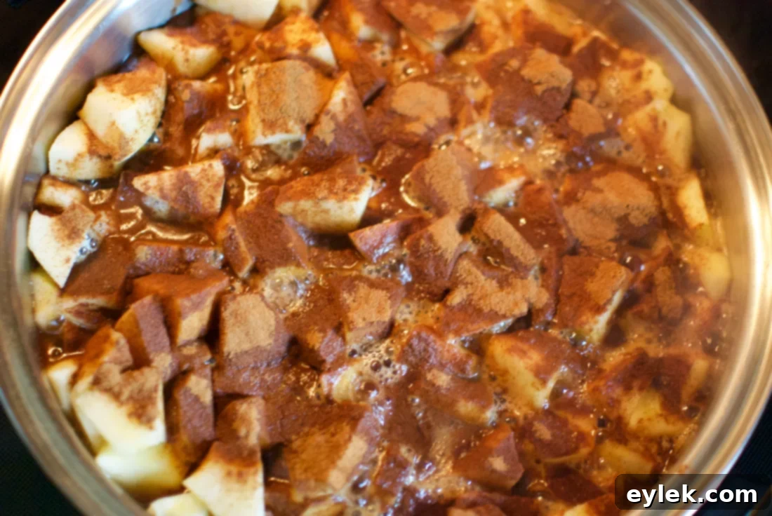 Simmering apples for oatmeal