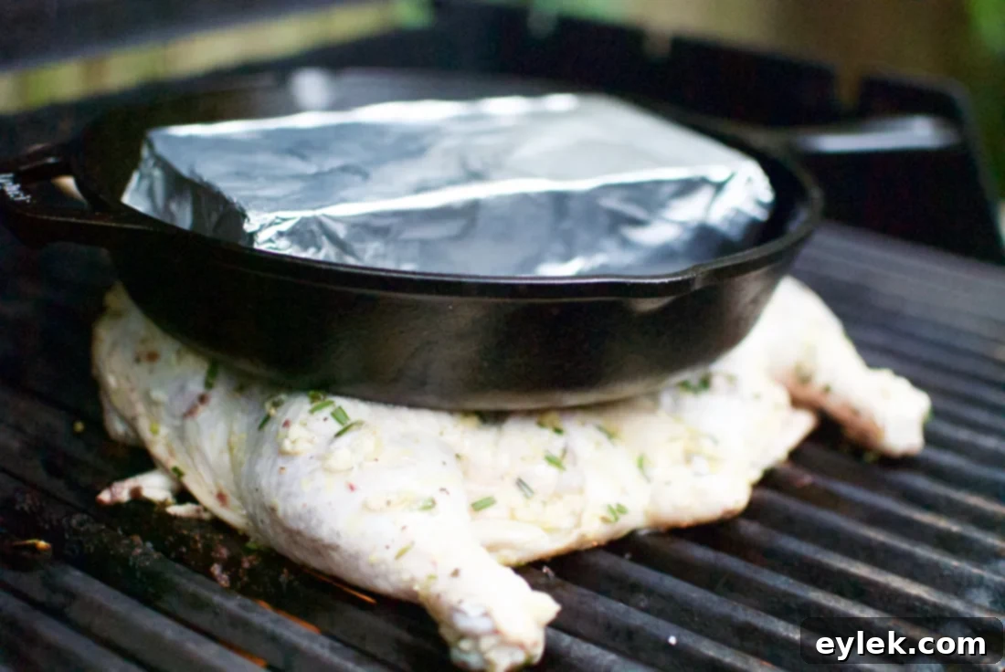 grilled brick chicken with tapenade - chicken on grill with brick