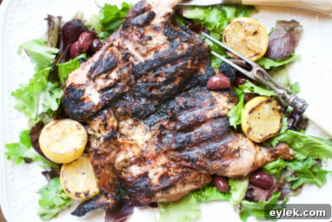 grilled brick chicken with tapenade - final presentation