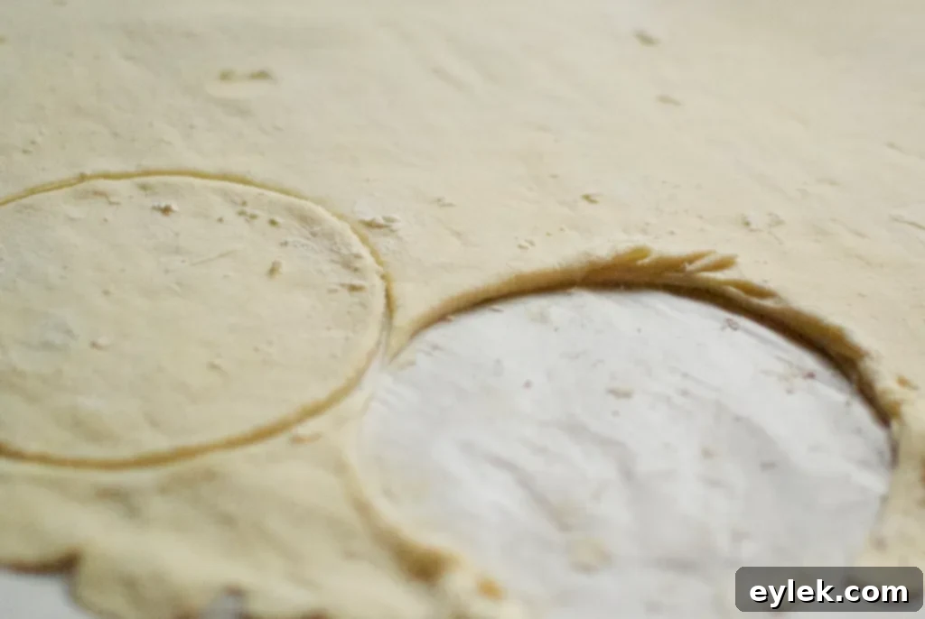 apricot hand pies