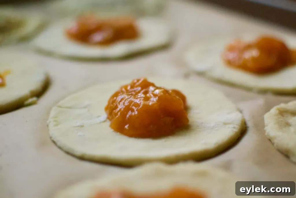 apricot hand pies