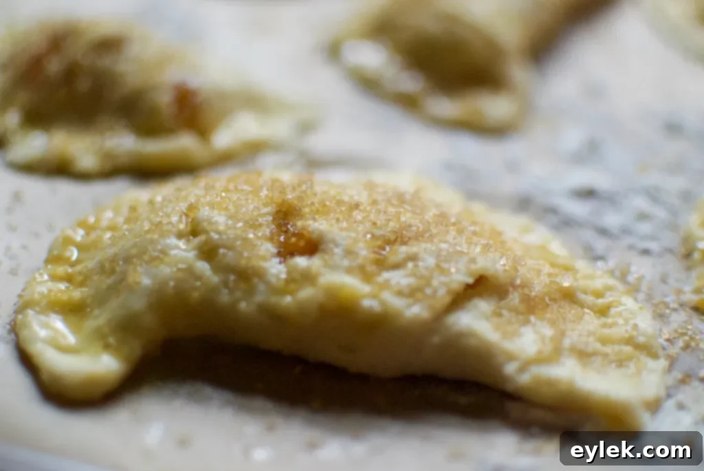 apricot hand pies