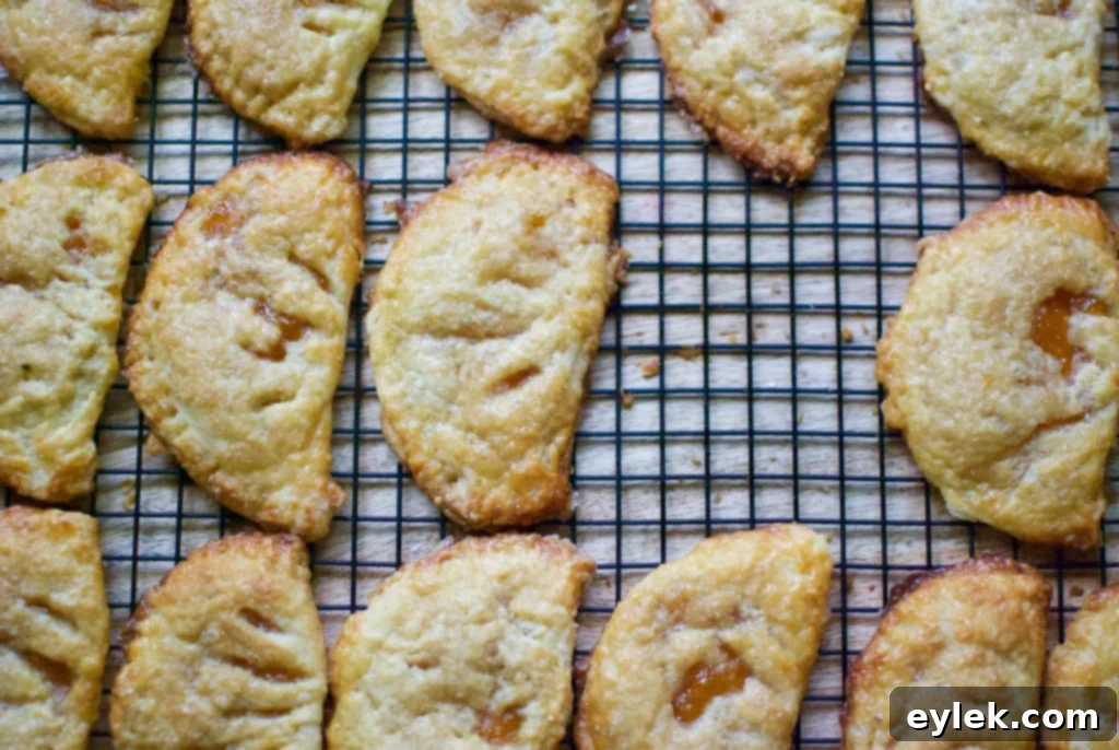 apricot hand pies