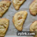 Golden Apricot Hand Pies 17 Apricot Hand Pies