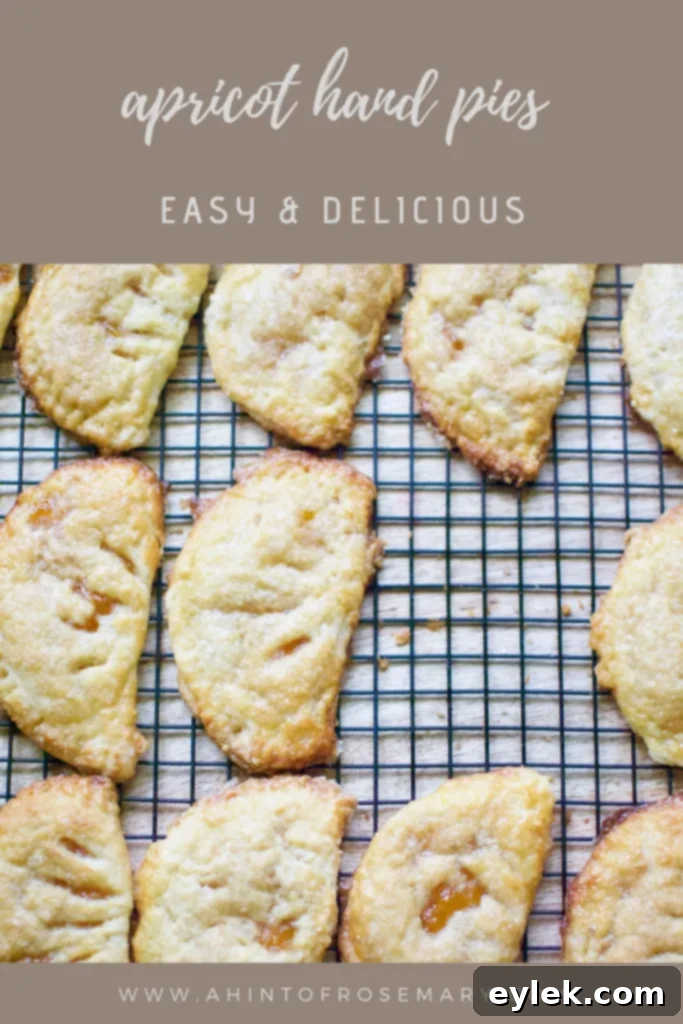 apricot hand pies