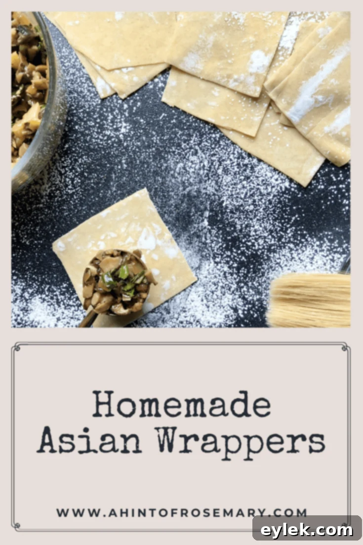 Promotional image for Homemade Asian Wrappers, featuring various Asian dishes.