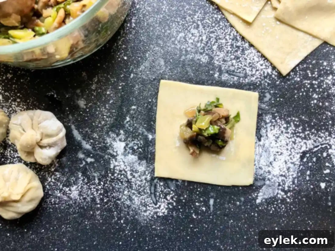 Folding Square Wonton Dumplings Step 1
