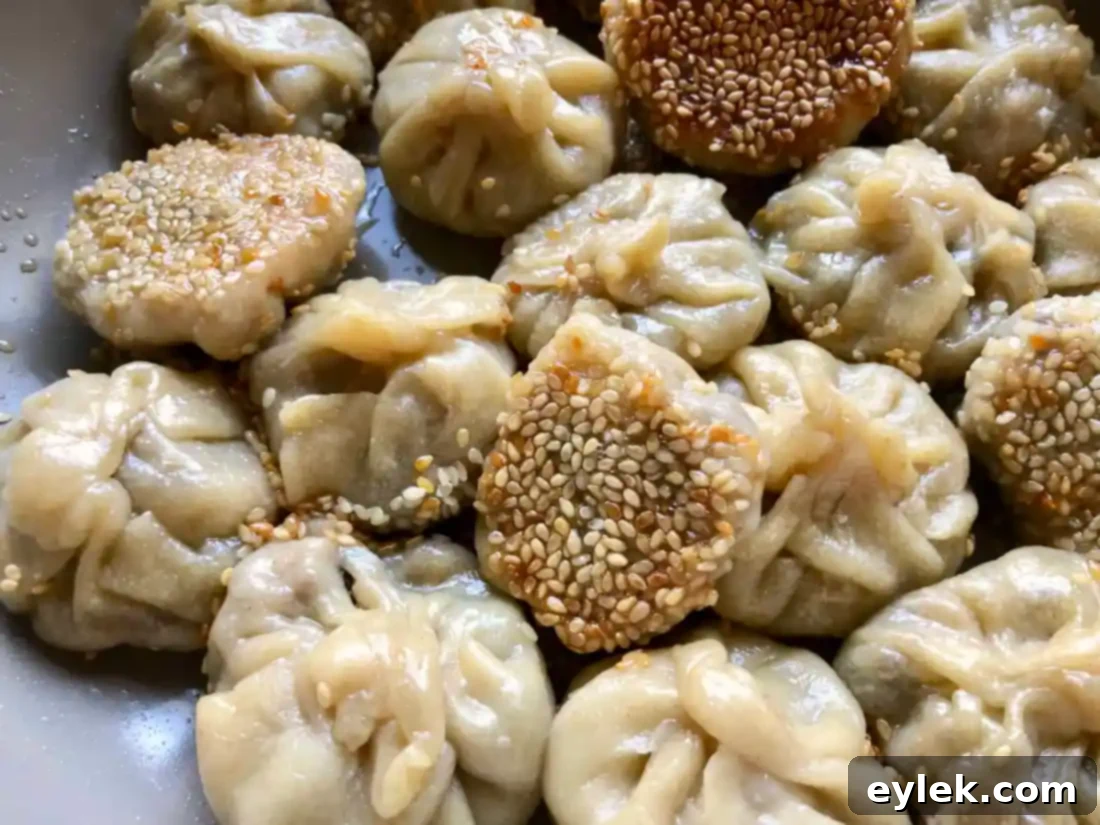 Pan-Frying Dumplings