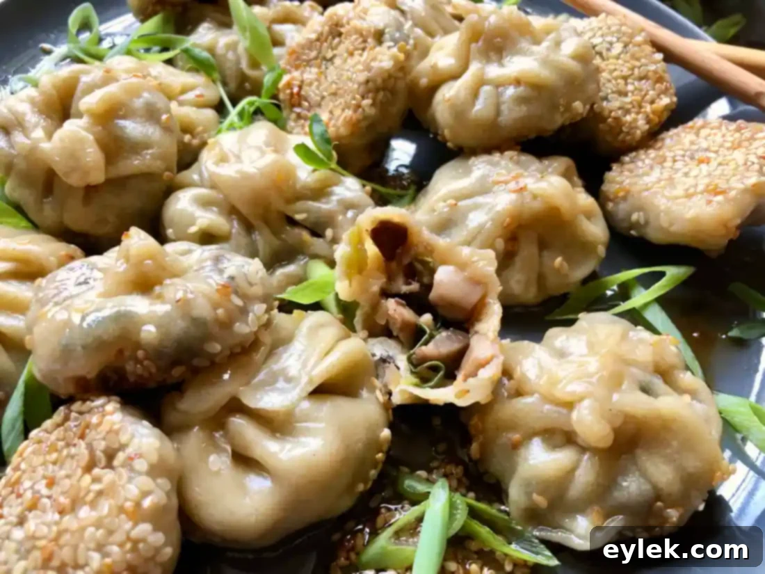Mushroom Dumplings Closeup