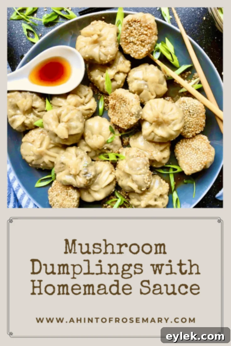 Delicious Homemade Mushroom Dumplings Ready to Serve