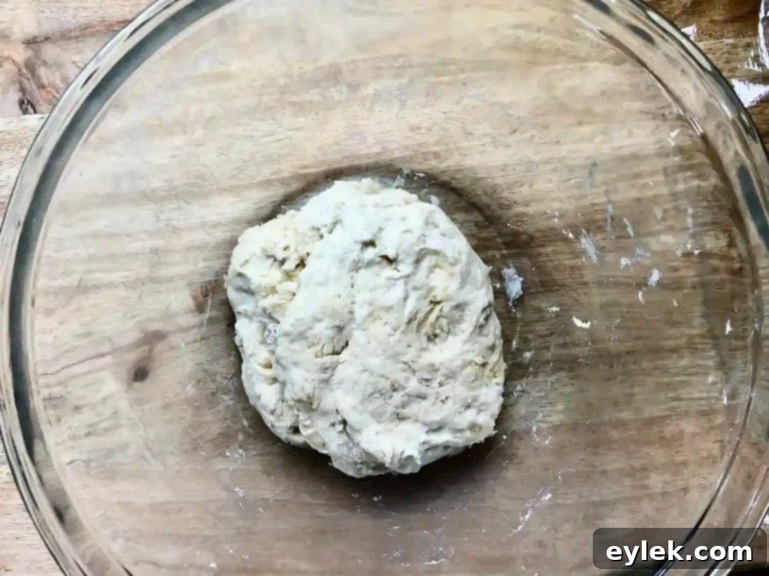 pizza dough after several folds