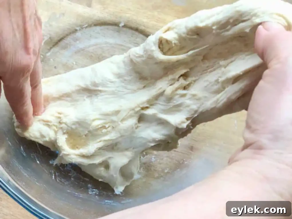 pizza dough covered for rising