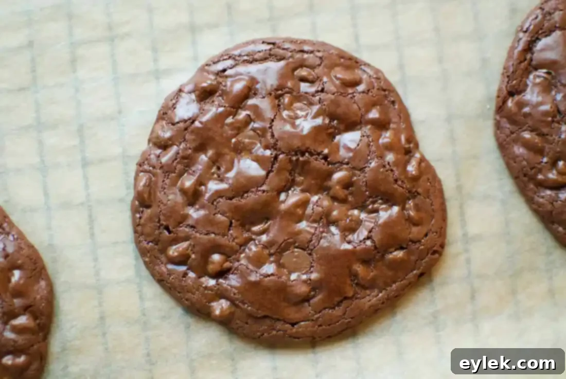 Gluten-free dark chocolate cookies cooling on a wire rack