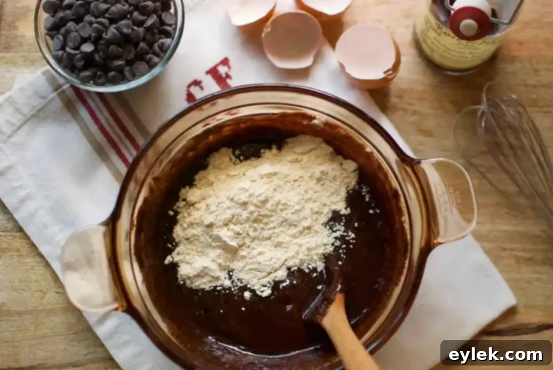 Close-up of shiny dark chocolate cookie batter