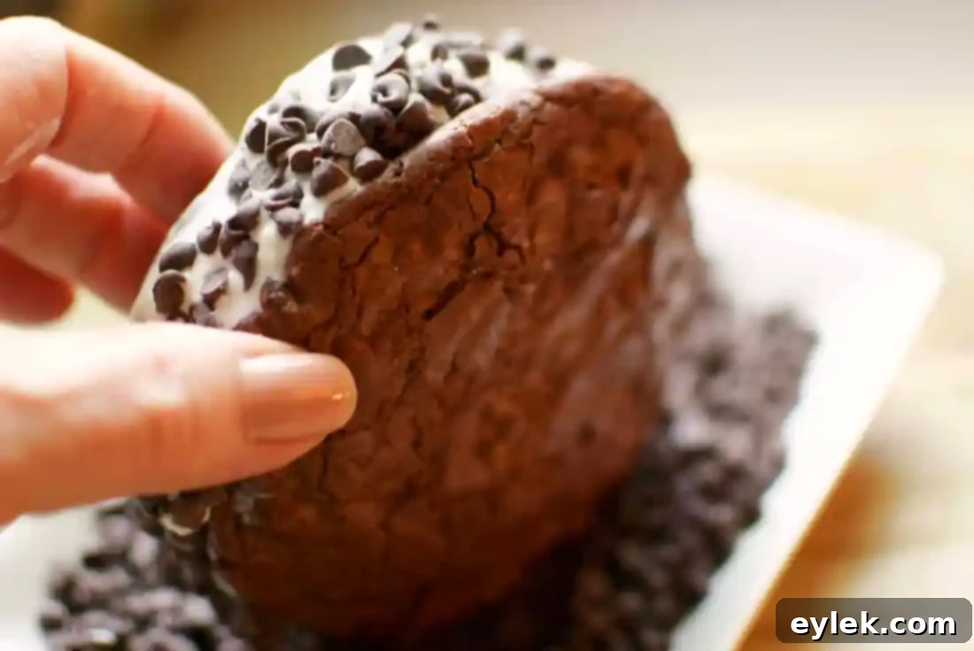Finished Gluten-Free Ice Cream Sandwich
