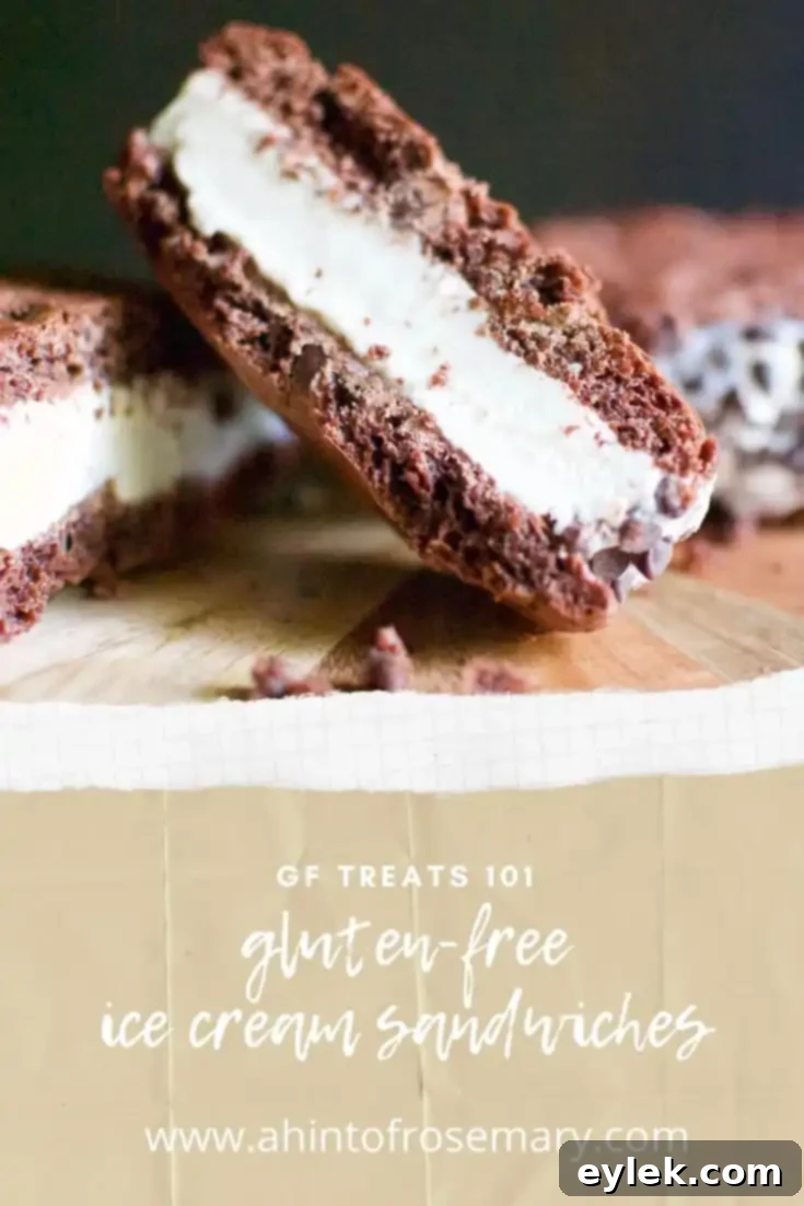 Two halves of a Gluten-Free Ice Cream Sandwich