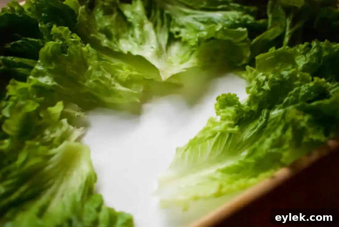 Grilled vegetables artfully arranged on a platter with a lettuce base.